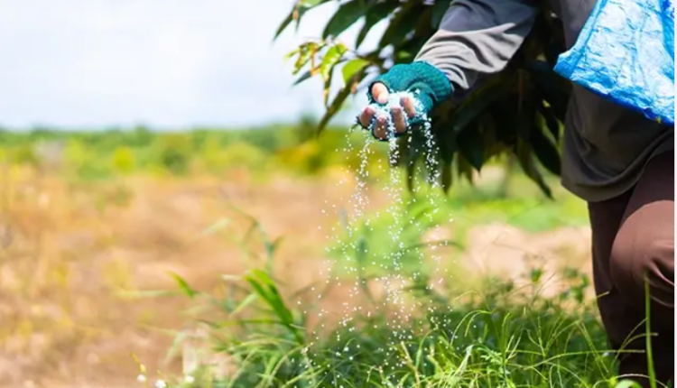 تفاوت فسفر و فسفات-shimicaroon.com